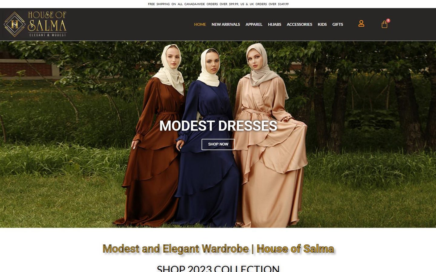 House of Salma website before redesign